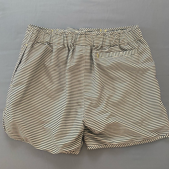 Blue and White Striped Bathing Trunks - Picture 2 of 5